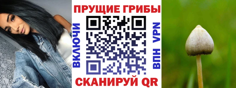 купить наркоту Афипский Галлюциногенные грибы ЛСД