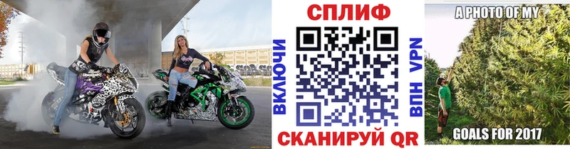 площадка телеграм сколько стоит Афипский Шишки марихуана Ganja